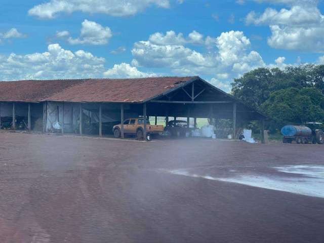 Fazenda à venda, Area rural de cristalina - CRISTALINA/GO