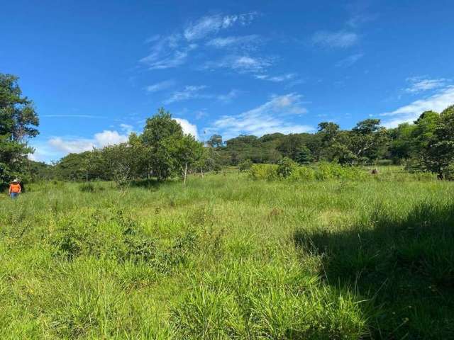 Fazenda à venda, AREA RURAL DE ARAGUARI - Araguari/MG