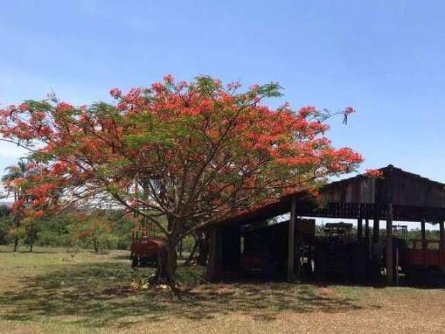 Fazenda à venda, Área Rural de Itarumã - Itarumã/GO