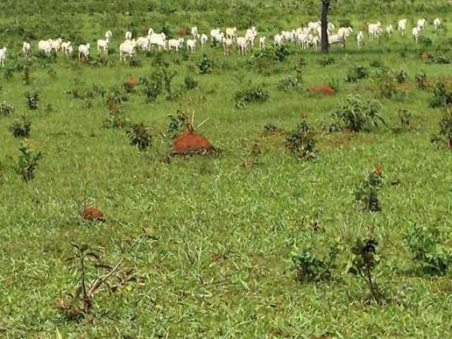 Fazenda à venda, Area Rural de Unai - UNAÍ/MG