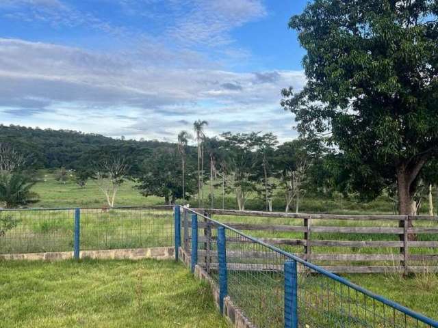 Fazenda à venda, Area rural de Gurinhata - GURINHATA/MG