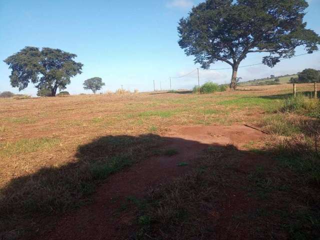 Fazenda à venda, ÁREA RURAL DE UBERLÂNDIA - Uberlândia/MG