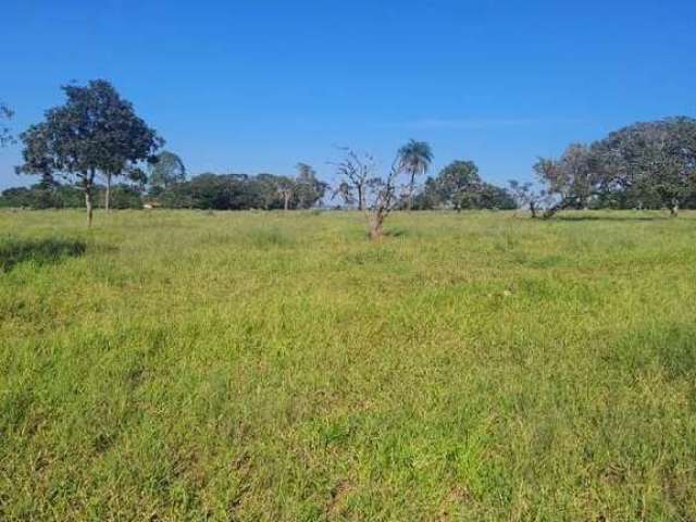 Fazenda à venda, ÁREA RURAL DE UBERLÂNDIA - Uberlândia/MG