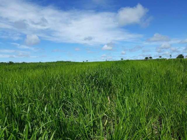 Fazenda à venda, Area rural de ituiutaba - ITUIUTABA/MG