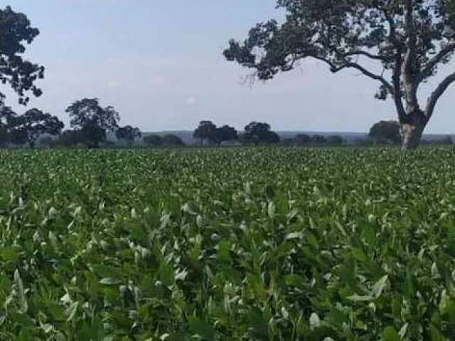 Fazenda à venda, AREA RURAL DE PARAISO DO TOCANTINS -TO - Paraíso do Tocantins/TO