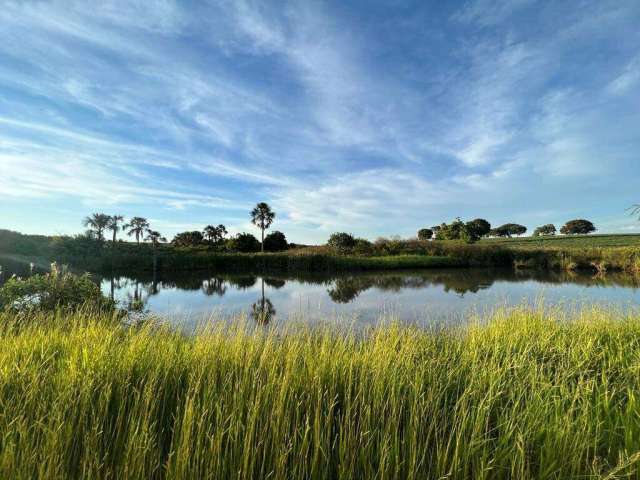 Fazenda à venda, ÁREA RURAL DE UBERLÂNDIA - Uberlândia/MG