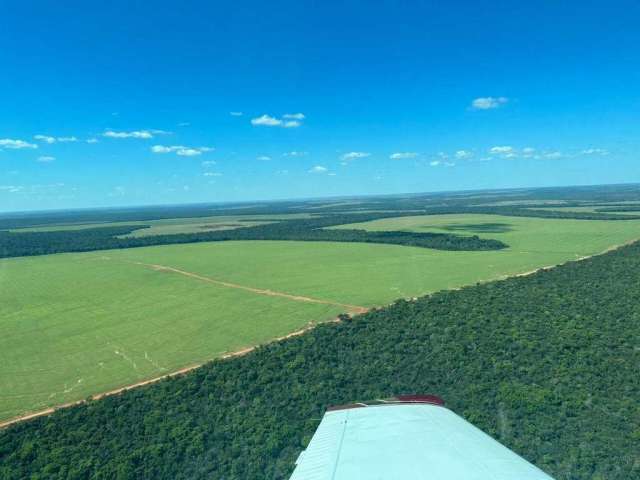 Fazenda à venda, AREA RURAL - Nova Mutum/MT