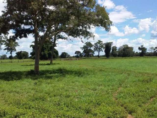 Explore o Paraíso Rural: Fazenda Excepcional à Venda em Cocalinho - MT