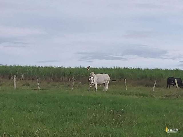 Fazenda à venda, Área Rural de Mineiros - MINEIROS/GO