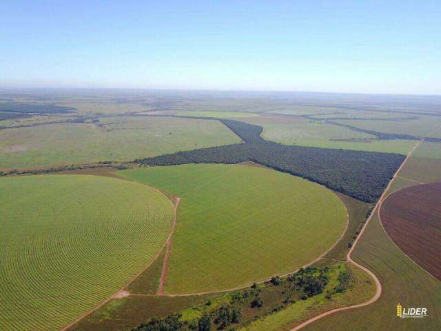 Fazenda à venda, ÁREA RURAL DE UBERLÂNDIA - Uberlândia/MG