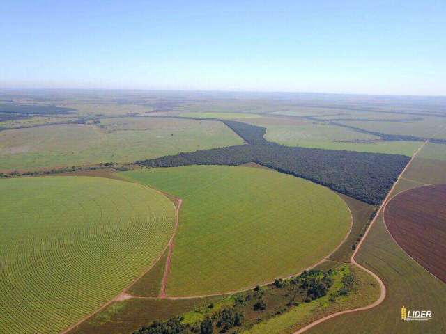 Fazenda à venda, ÁREA RURAL DE UBERLÂNDIA - Uberlândia/MG