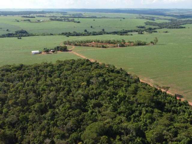 Fazenda à venda, AREA RURAL DE JATAI GO - JATAI/GO