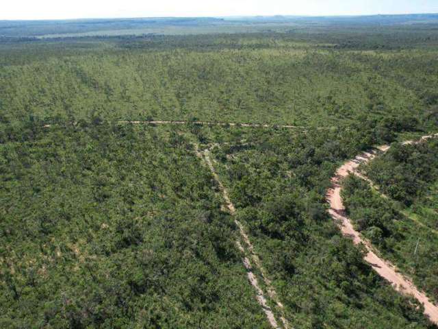 Fazenda à venda, AREA RURA DE PALMAS TO - PALMAS/TO