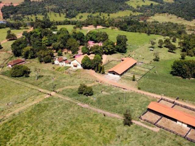 Fazenda à venda, ÁREA RURAL DE UBERLÂNDIA - Uberlândia/MG