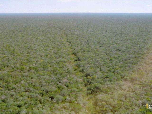 Fazenda à venda, AREA RURAL DE BOM JESUS-PI - Bom Jesus/PI