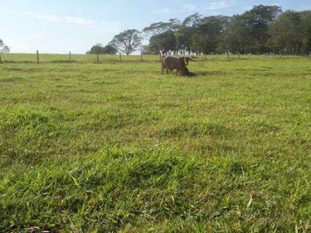 Fazenda à venda, Area rual de Campina verde - CAMPINA VERDE/MG