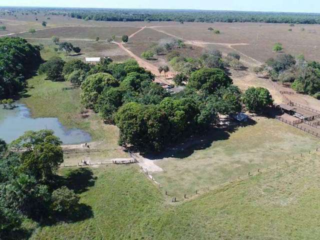 Fazenda à venda, AREA RURAL DE PEIXE-TO - Peixe/TO