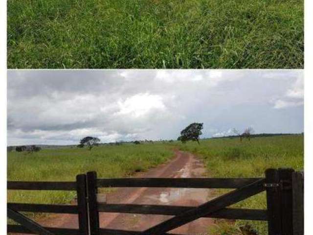 Fazenda à venda, Área Rural de Paranatinga - Paranatinga/MT