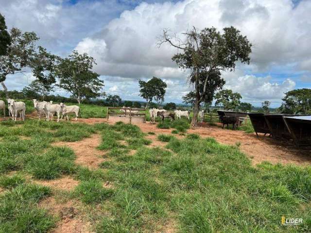 Fazenda à venda, AREA RURAL DE TORIXOREU-MT - Torixoréu/MT