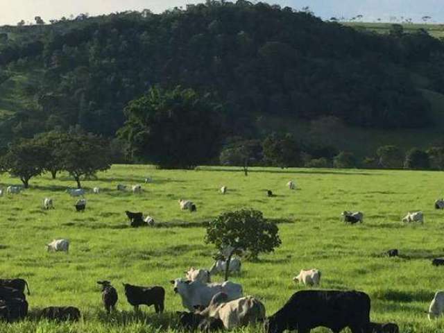 Fazenda à venda, Área rural de Brasilia - BRASILIA/DF