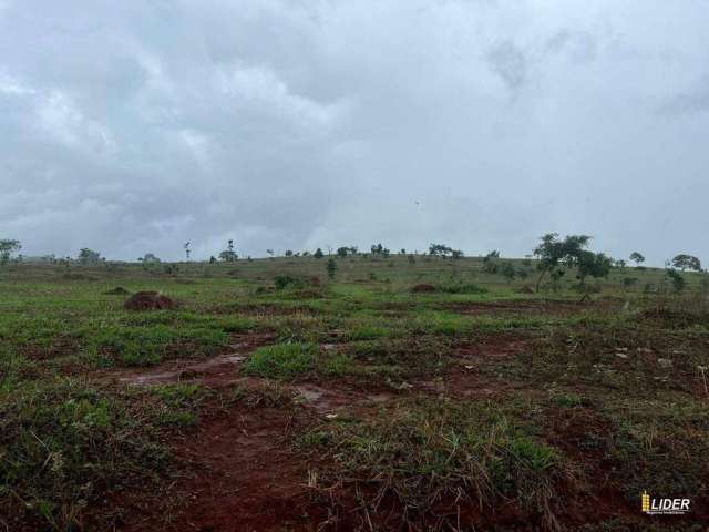 Fazenda à venda, ÁREA RURAL DE UBERLÂNDIA - Uberlândia/MG