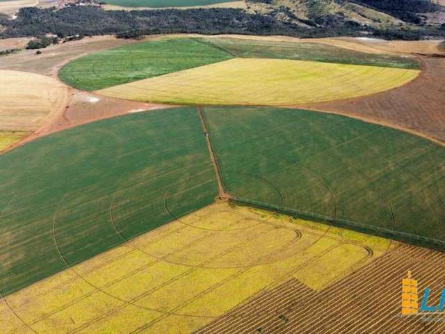 Fazenda à venda, Area rural de cristalina - CRISTALINA/GO