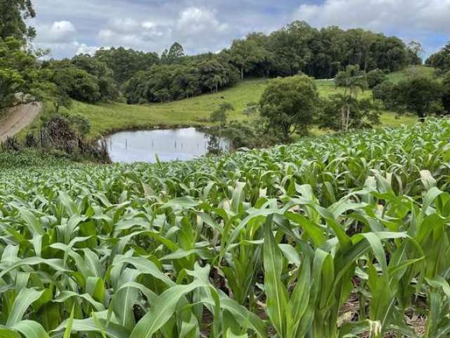 'Terreno à Venda em Linha 12, Carlos Barbosa - R$ 300.000'