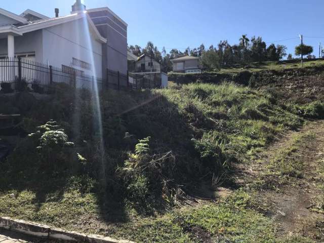 Terreno a venda no bairro Triângulo  -  Carlos Barbosa