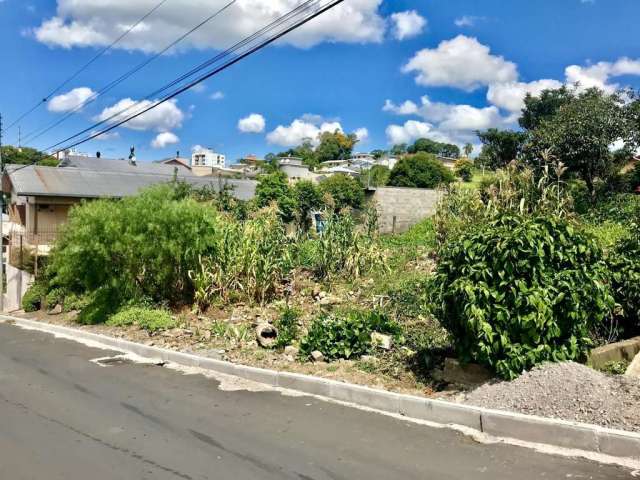 Terreno no bairro Vila nova em Carlos Barbosa