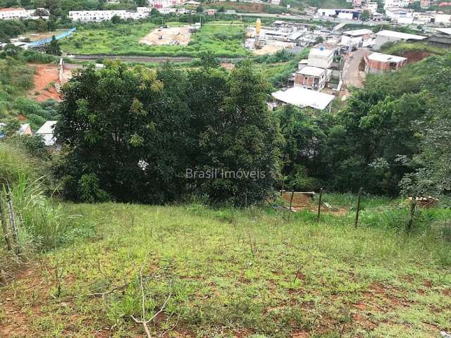 Terreno à venda na Rua Energina Ernesto Guilherme, Lourdes, Juiz de Fora, 250 m2 por R$ 60.000