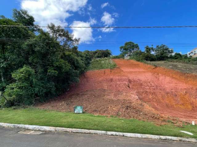 Terreno em condomínio fechado à venda na Rua das Petúnias, Novo Horizonte, Juiz de Fora, 979 m2 por R$ 290.000