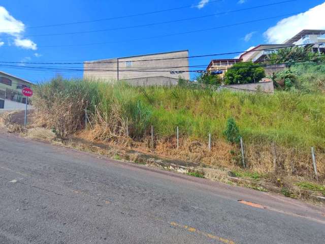 Terreno à venda na Rua Doutor Lourival Sotto Maior, Quintas das Avenidas, Juiz de Fora, 426 m2 por R$ 230.000