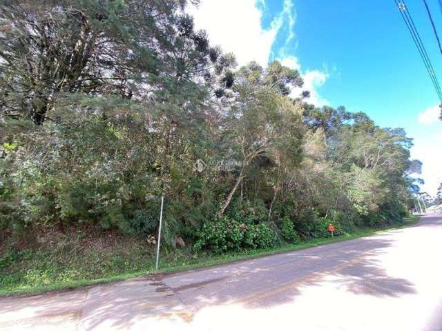 Terreno à venda na Alziro Torres Filho, 1001, Centro, São Francisco de Paula, 3736 m2 por R$ 1.800.000