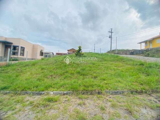 Terreno à venda na 25 De Março, 30, Campo do Meio, São Francisco de Paula, 360 m2 por R$ 149.000