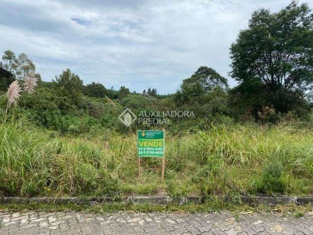 Terreno à venda na Giselda Pinto Dos Santos, 7, Cipó, São Francisco de Paula, 360 m2 por R$ 140.000