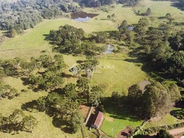 Fazenda à venda na São Francisco, 1, Centro, São Francisco de Paula, 370000 m2 por R$ 1.750.000