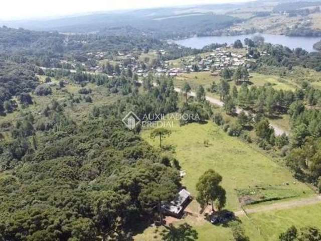 Fazenda à venda na Ipê, 10, Eletra, São Francisco de Paula, 222495 m2 por R$ 2.100.000