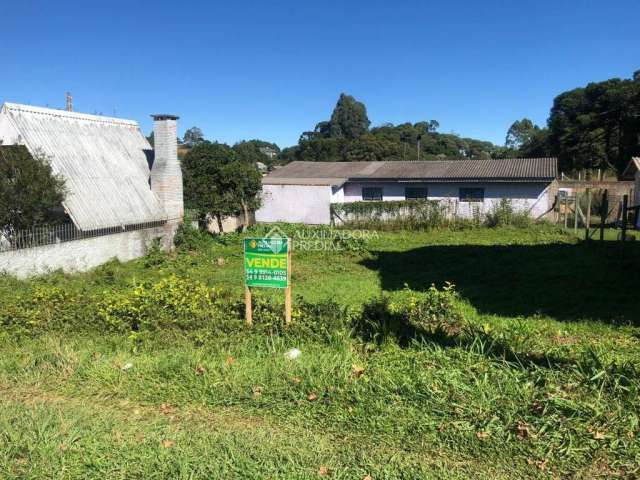 Terreno à venda na Coronel Serrano, 163, Centro, São Francisco de Paula, 667 m2 por R$ 1.378.000