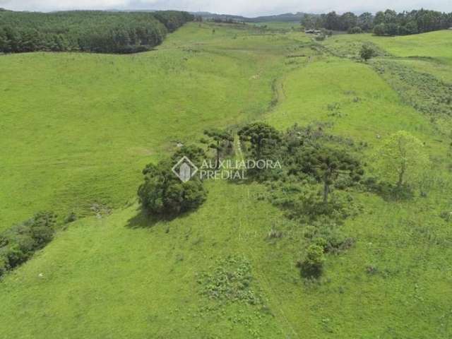 Terreno à venda na São Francisco, 277, Centro, São Francisco de Paula, 25800 m2 por R$ 1.780.000