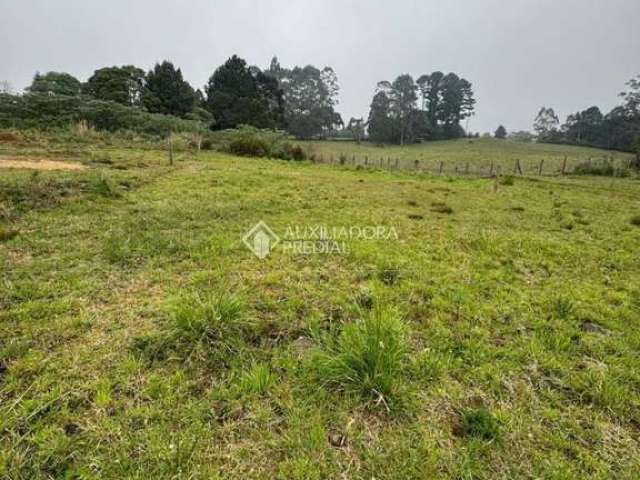 Terreno à venda na Giselda Pinto Dos Santos, 78, Cipó, São Francisco de Paula, 420 m2 por R$ 159.000