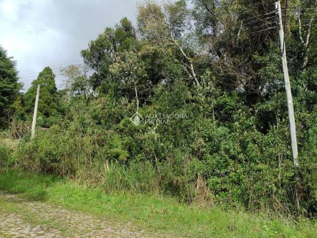 Terreno à venda na Mata Atlântica, 60, Alpes, São Francisco de Paula, 600 m2 por R$ 98.000