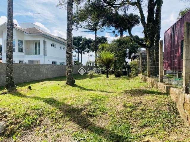 Terreno à venda na Saldanha Marinho, 87, Centro, São Francisco de Paula, 678 m2 por R$ 350.000