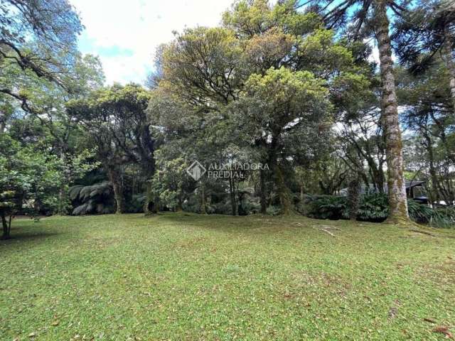 Terreno à venda na Felicidade, 91, São Bernardo, São Francisco de Paula, 187 m2 por R$ 320.000