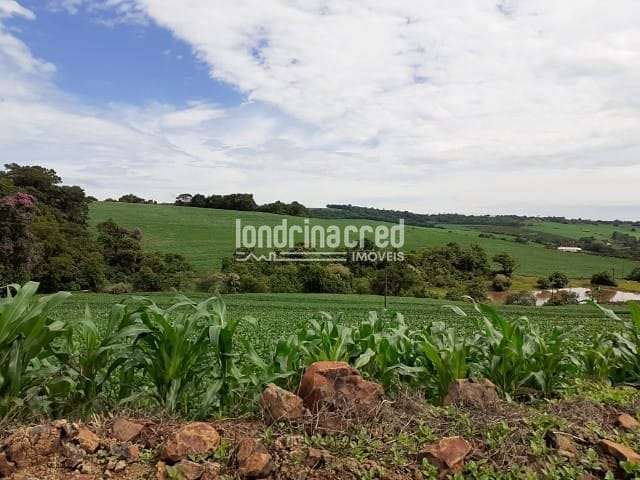 Chácara à venda Warta, Londrina - PR