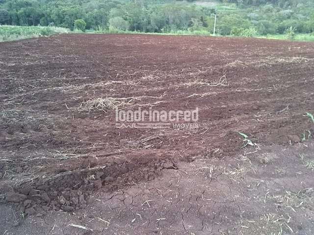 Chácara à venda 80000M², Centro, Jataizinho - PR