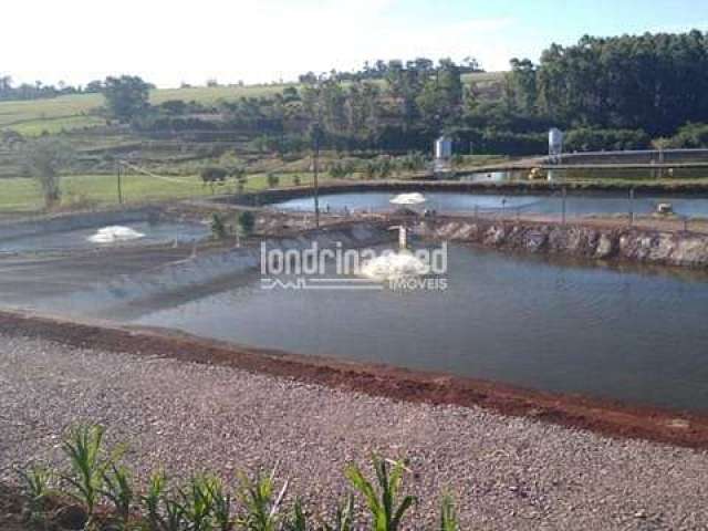 Chácara à venda Zona Rural, Nova Santa Rosa - PR