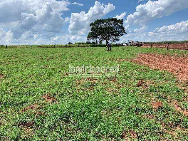 Terreno à venda 1000M², Centro, Miraselva - PR