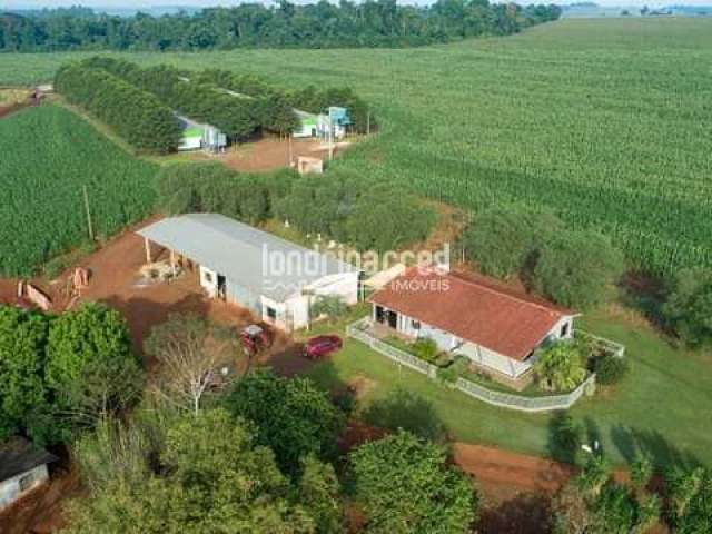 Chácara à venda Zona Rural, São Miguel do Iguaçu - PR