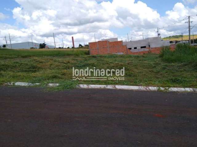 Terreno à venda 250M², Centro, Ibiporã - PR