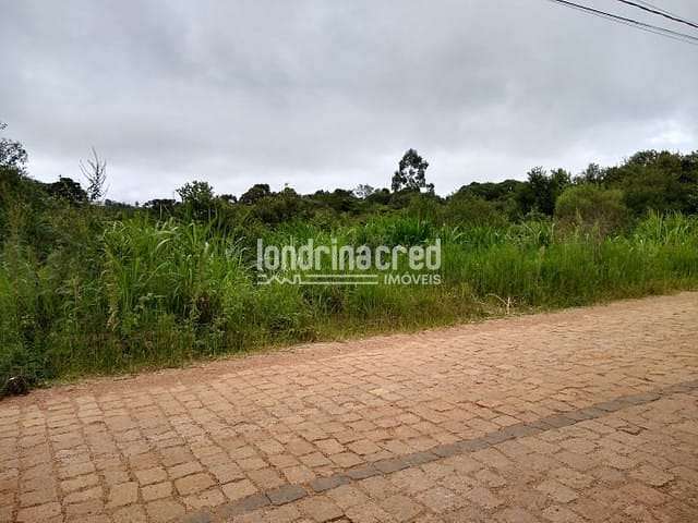 Terreno à venda Zona Rural, São José dos Pinhais - PR